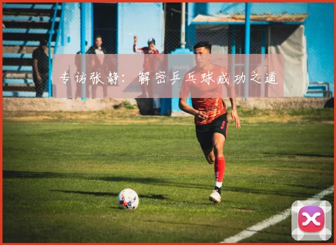 专访张静：解密乒乓球成功之道