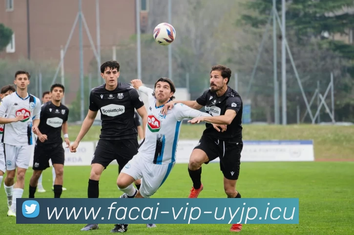 开云体育注册平台生态图