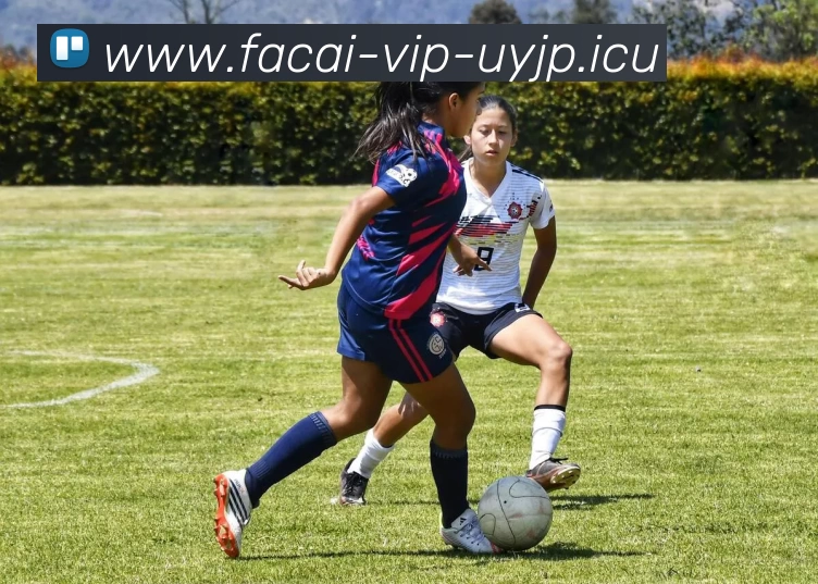 开云体育注册APP 封面图